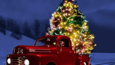 Wallpaper:3bvdzchrwcy= Christmas Images