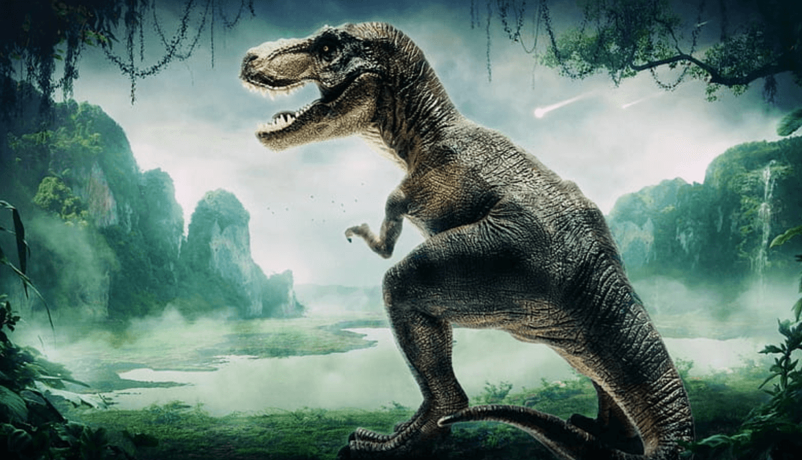 Wallpaper:6v4rpaq50ca= Dino