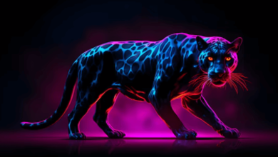 Wallpaper:78sbggg8e24= Panther