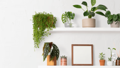 Wallpaper:2h9cgu2bbl4= Zoom Background