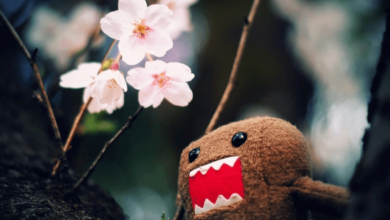 Wallpaper:2r0chfmbxik= Domo