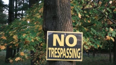 contact privacy taskforce numbers