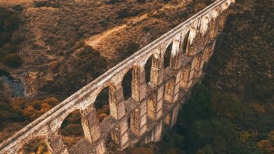 cyber infrastructure contact numbers