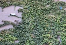 security monitoring contact numbers