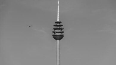 telecommunication compliance monitoring numbers