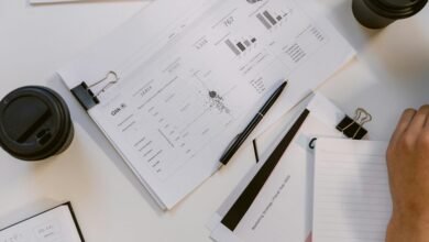 analytics briefing on vectors