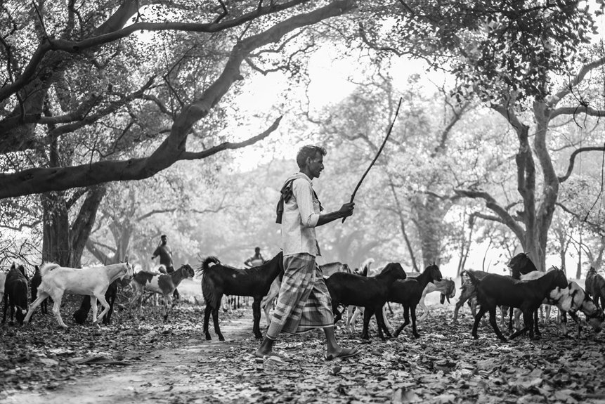 business environment analysis report