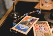 portfolio predictive insights analysis