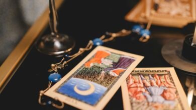 portfolio predictive insights analysis